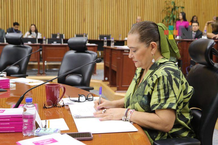 Descarta Guadalupe Taddei golpe de Estado técnico en contra del proceso electoral