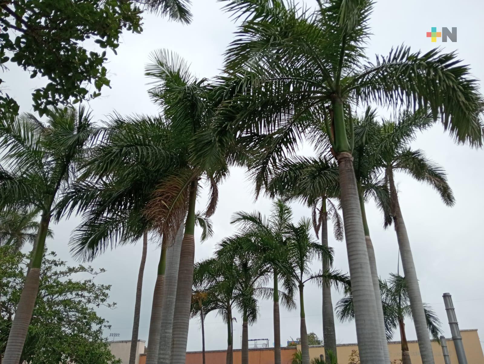 Frente frío 40 traerá lluvias pero clima se mantendrá cálido