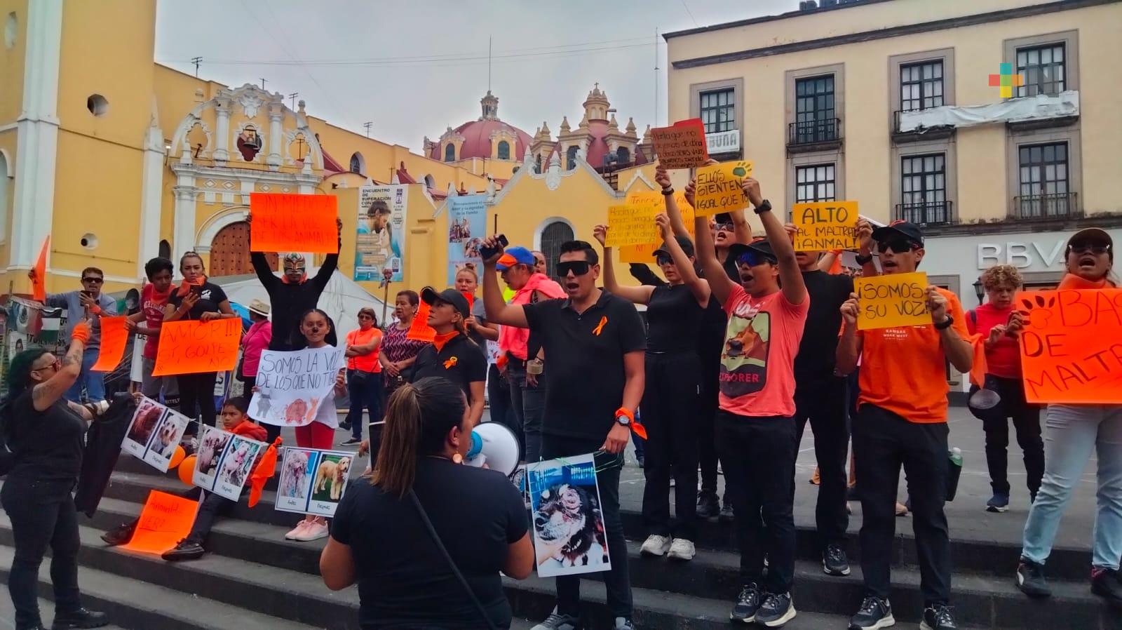 Rescatistas de animales se manifestaron para denunciar casos de maltrato en Xalapa