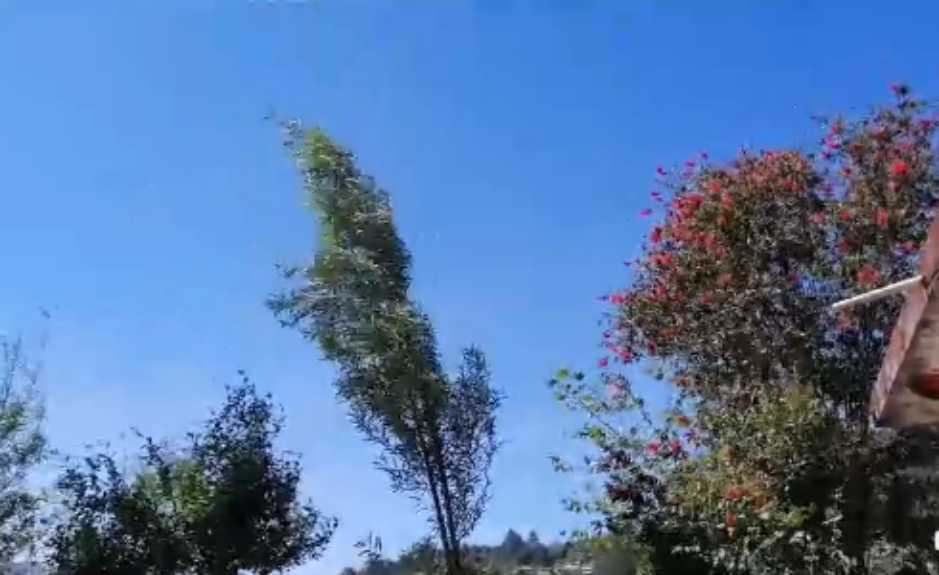 Surada en territorio veracruzano