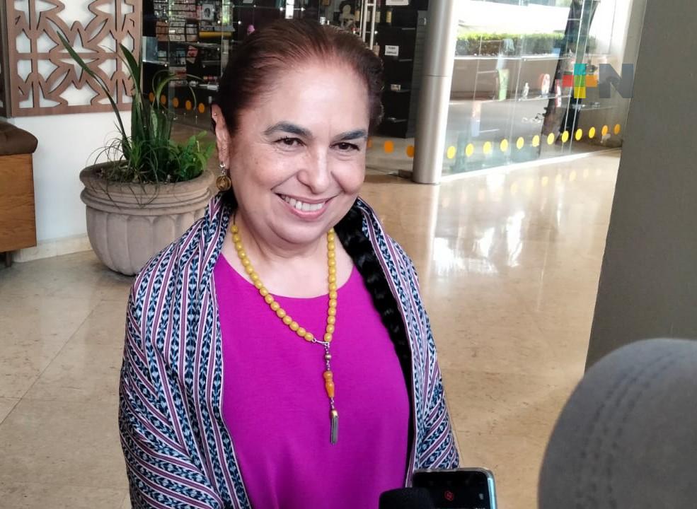 Sara Ladrón de Guevara espera ser la voz ciudadana