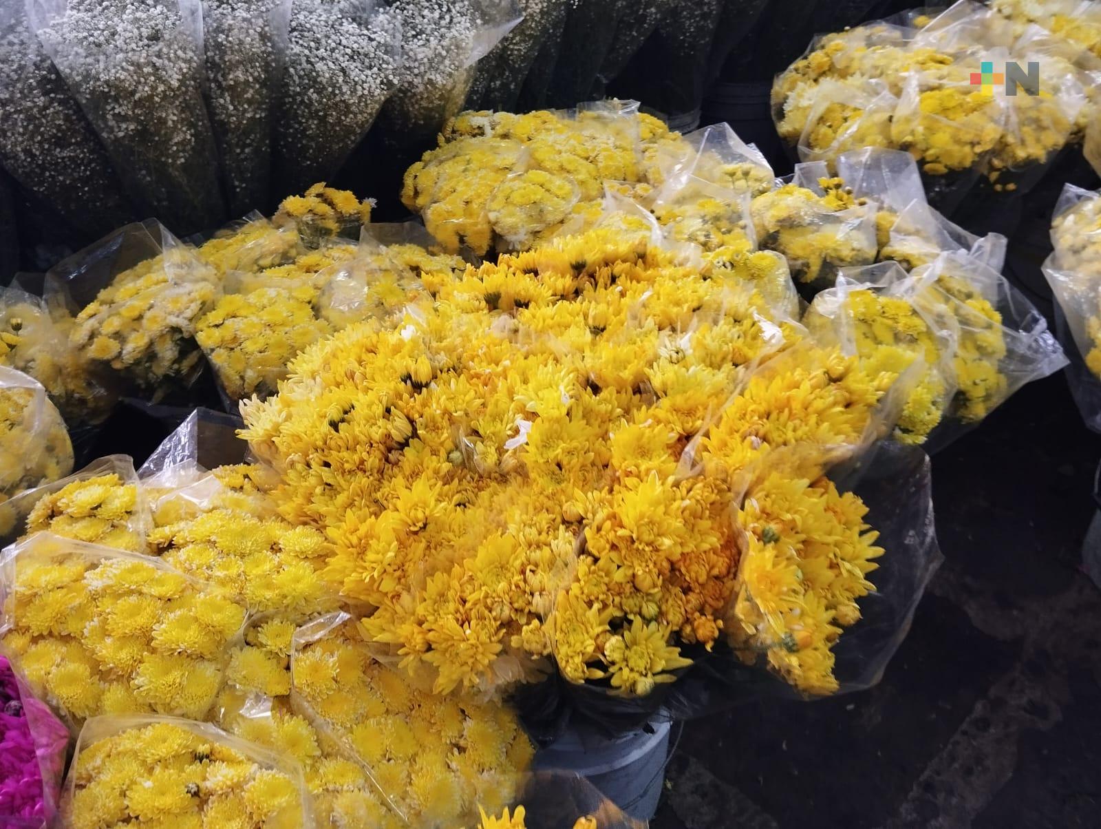 Aumenta un 50% venta de flores amarillas en municipio de Veracruz