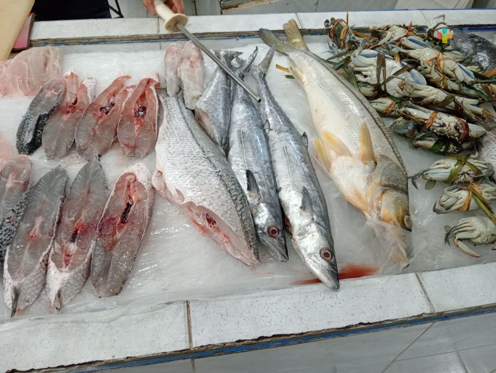 Venta de pescados y mariscos incrementa un 70% en municipio de Veracruz