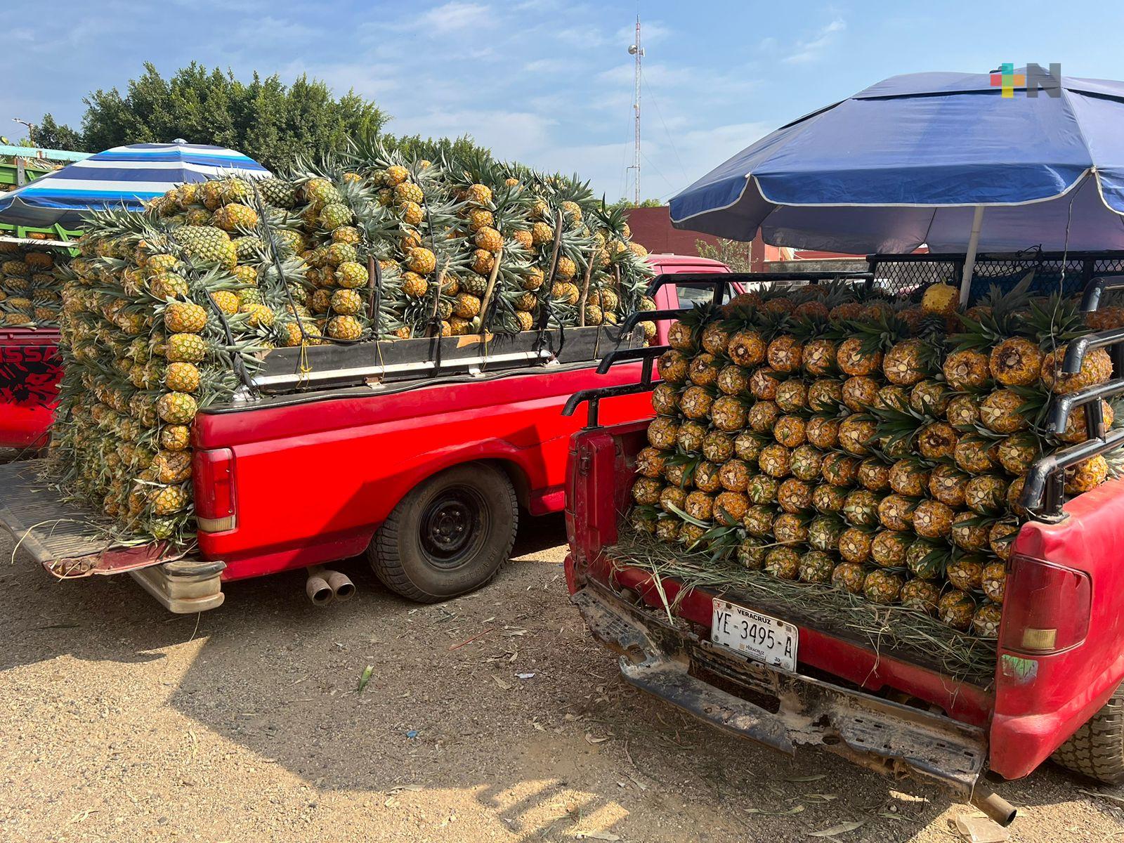 En Isla, productores de piña llegan a comercializar su producto