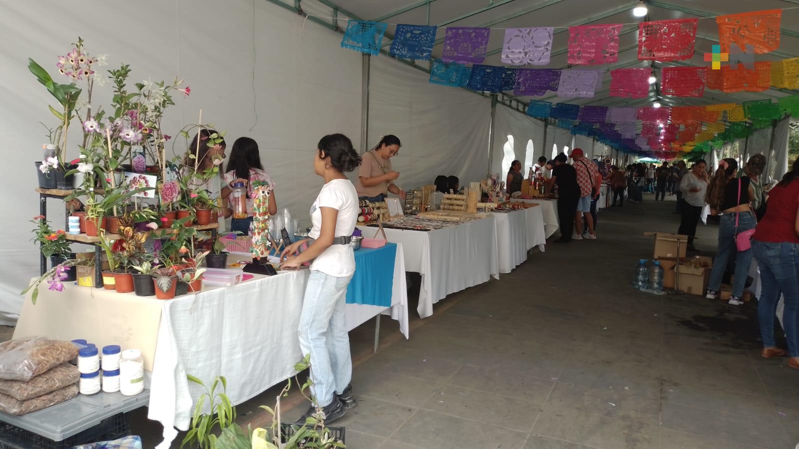 Coatepec apoya a artesanos con espacios para venta en parque Miguel Hidalgo