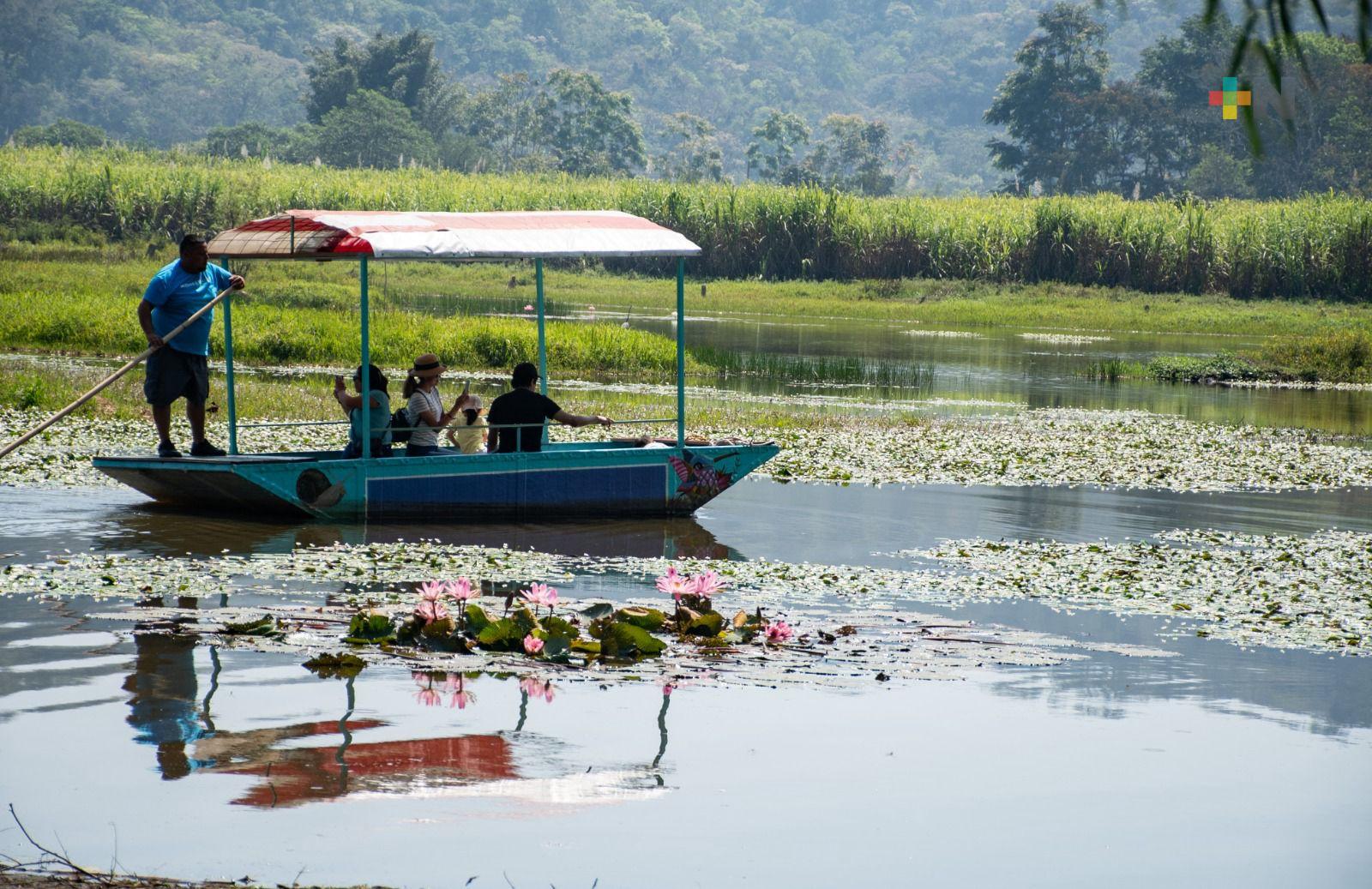 Laguna «El Porvenir», naturaleza que atrae turismo en Córdoba