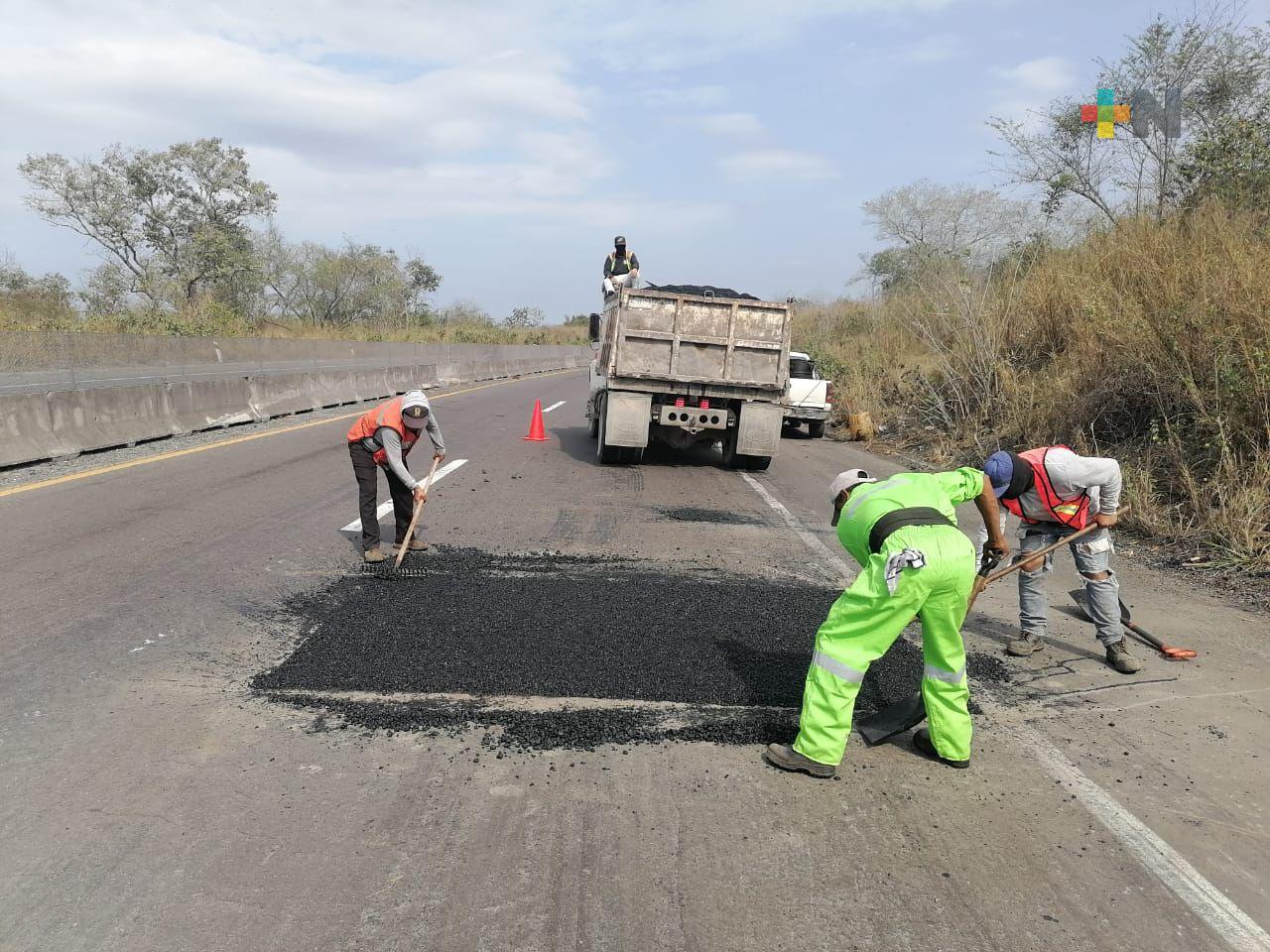 Tal como estaba programado realizan rehabilitación en autopista Xalapa-Veracruz