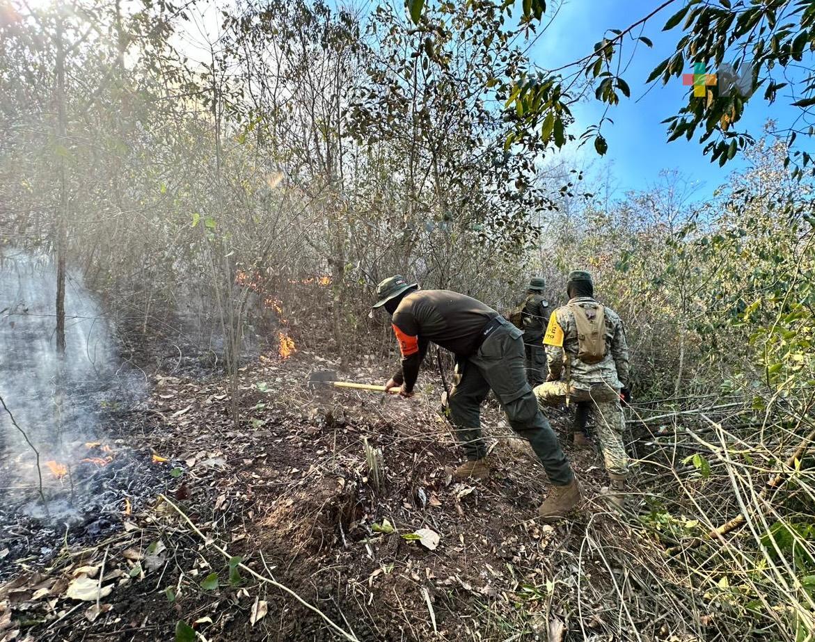 Se investiga a responsables de quema no autorizada que causó incendio forestal en Altas Montañas
