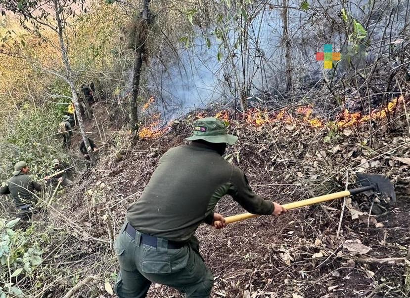Se tienen cinco incendios forestales activos en Veracruz: Conafor