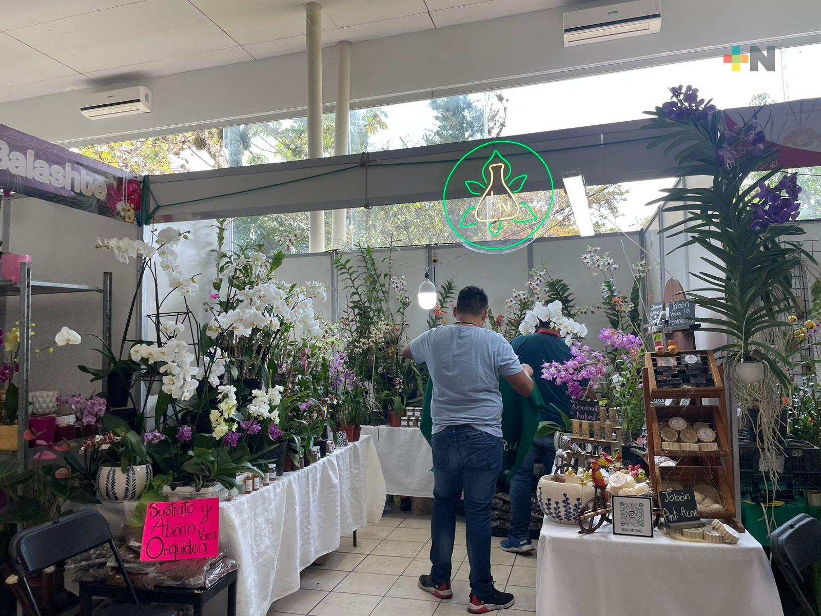 Altas ventas reportan expositores del Festival Internacional de la Orquídea