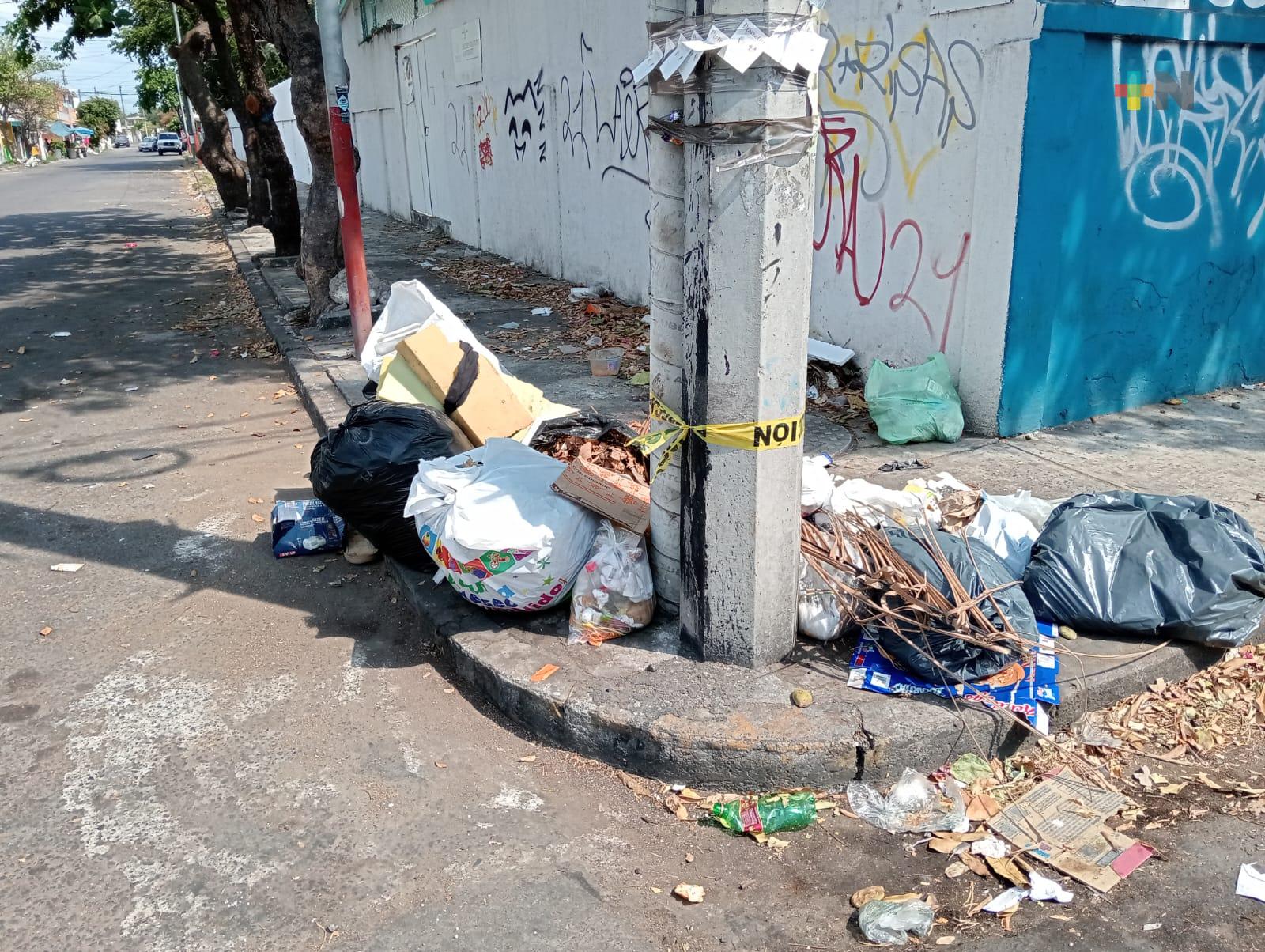 Ausencia de limpia pública en Veracruz puerto