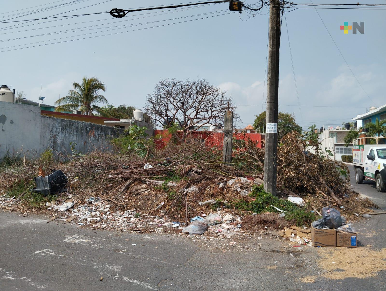 Vecinos denuncian basurero en colonia Astilleros del municipio de Veracruz