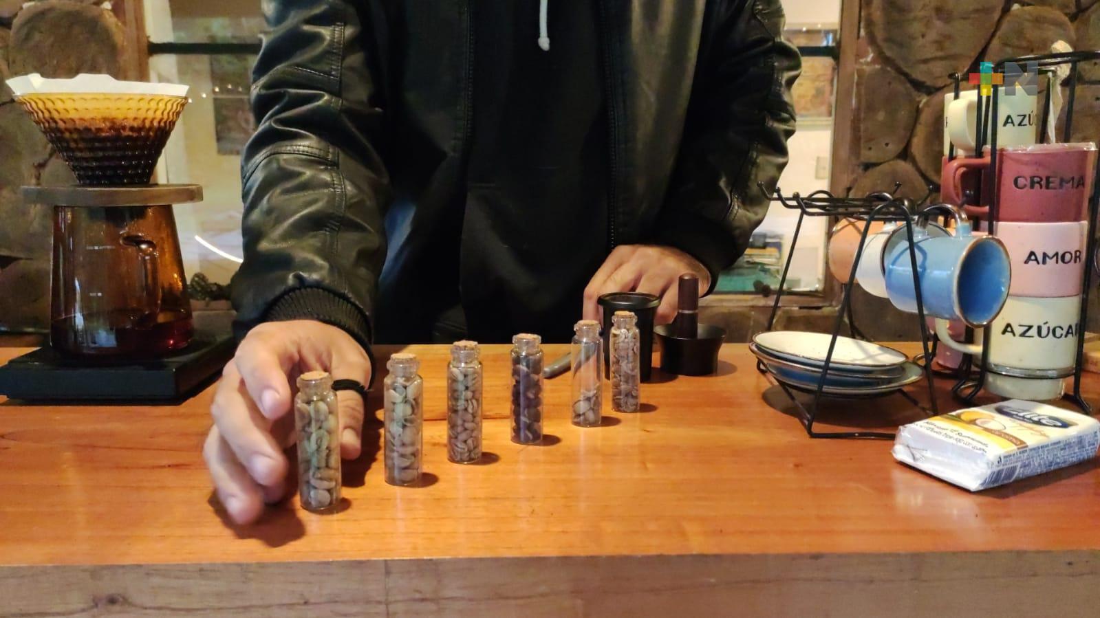 Con tours, fincas cafetaleras promueven turismo en Córdoba