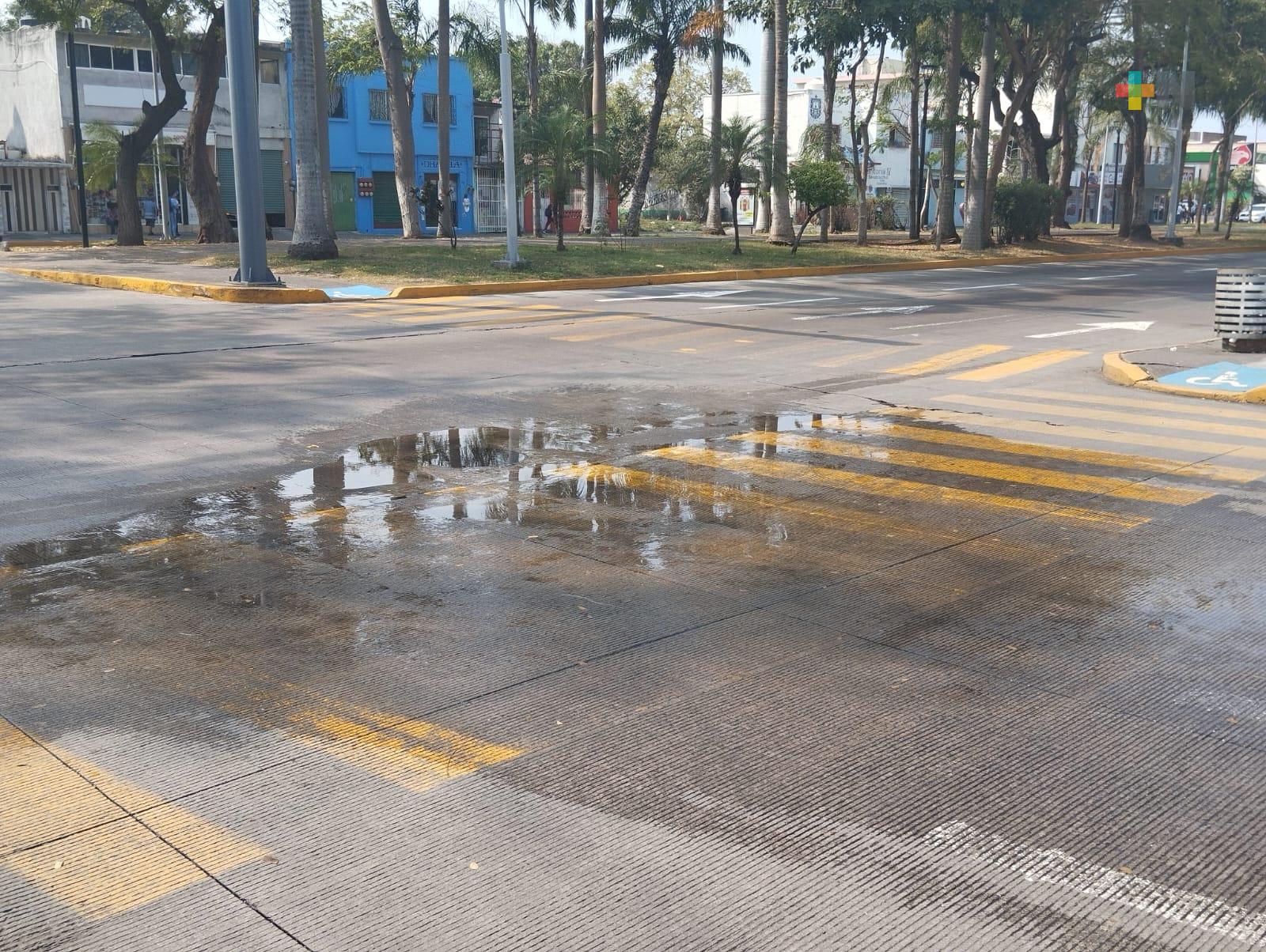 Sin atender fuga de aguas negras en colonia del municipio de Veracruz