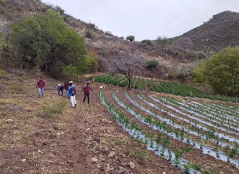 Tecnológico de Chicontepec, unidad académica Huayacocotla, presenta proyectos de Ecotecnia