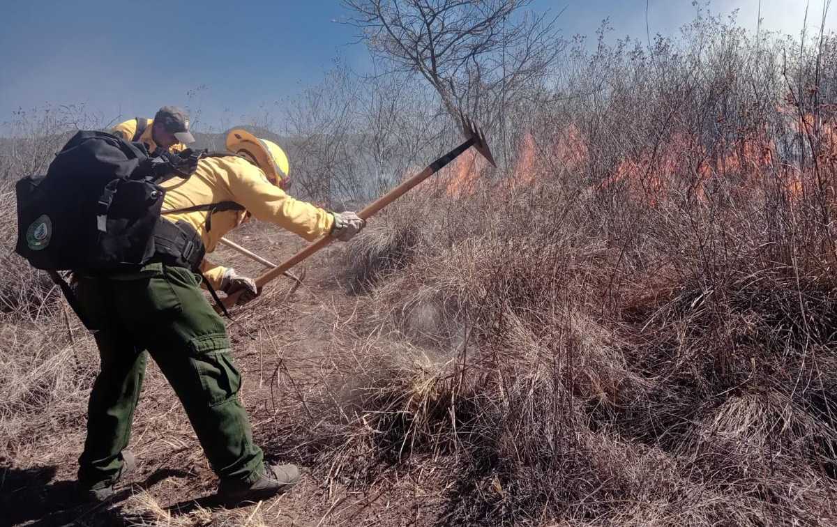 Veracruz con 117 incendios forestales y 6 mil 707 hectáreas afectadas al 2 de mayo