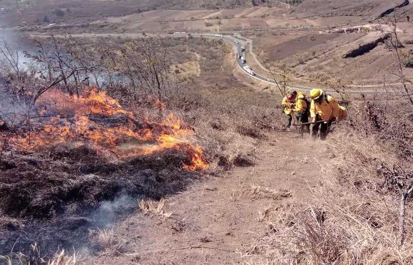 Fuerzas de tarea atienden incendio forestal en Maltrata
