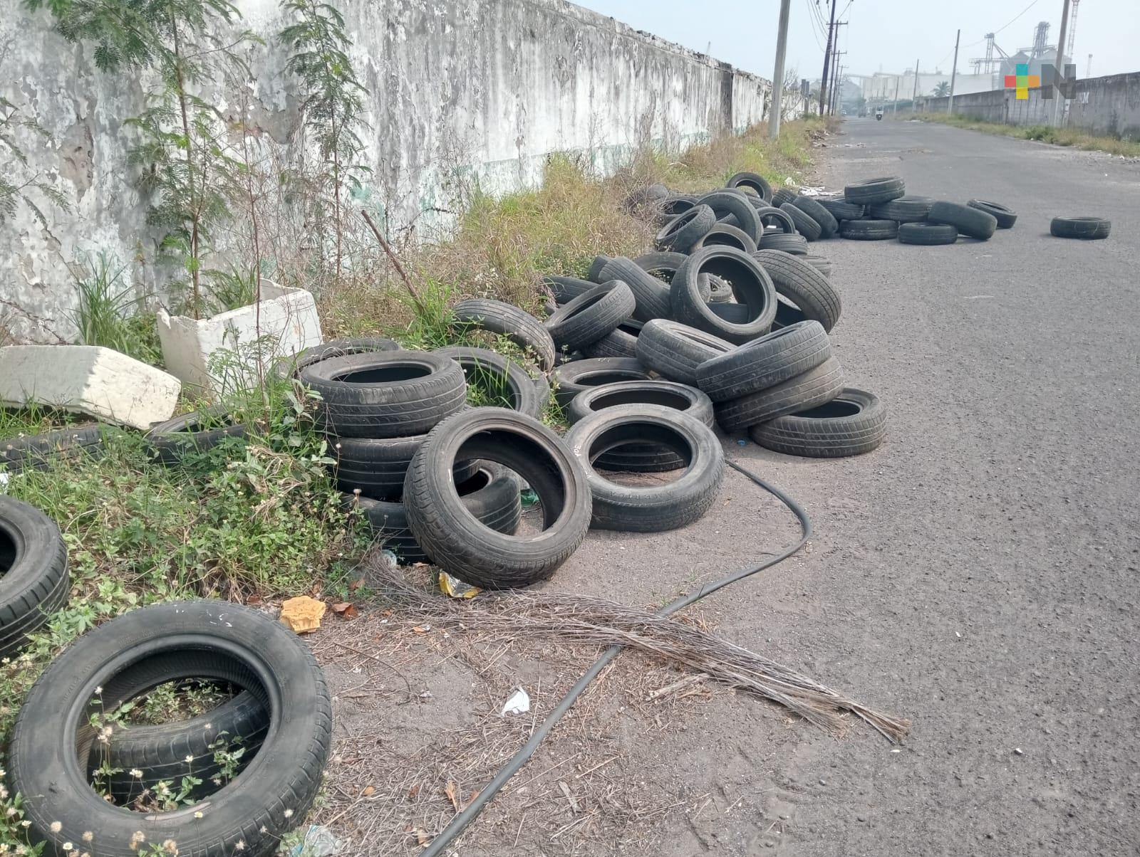 Reportan basurero en colonia Virginio Uribe de Veracruz puerto