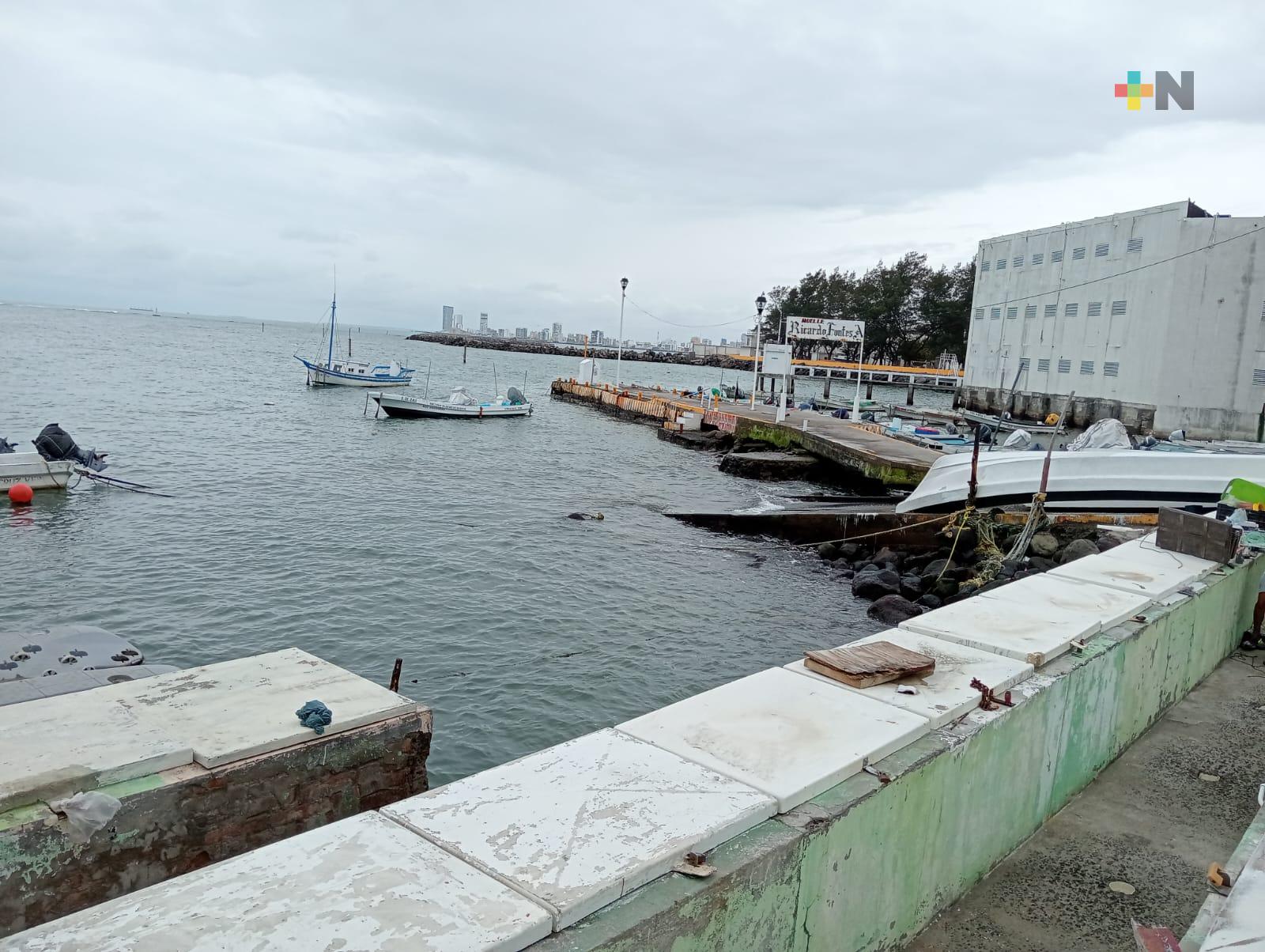 Pescadores piden que turistas conozcan sus acciones en favor de playas de Veracruz