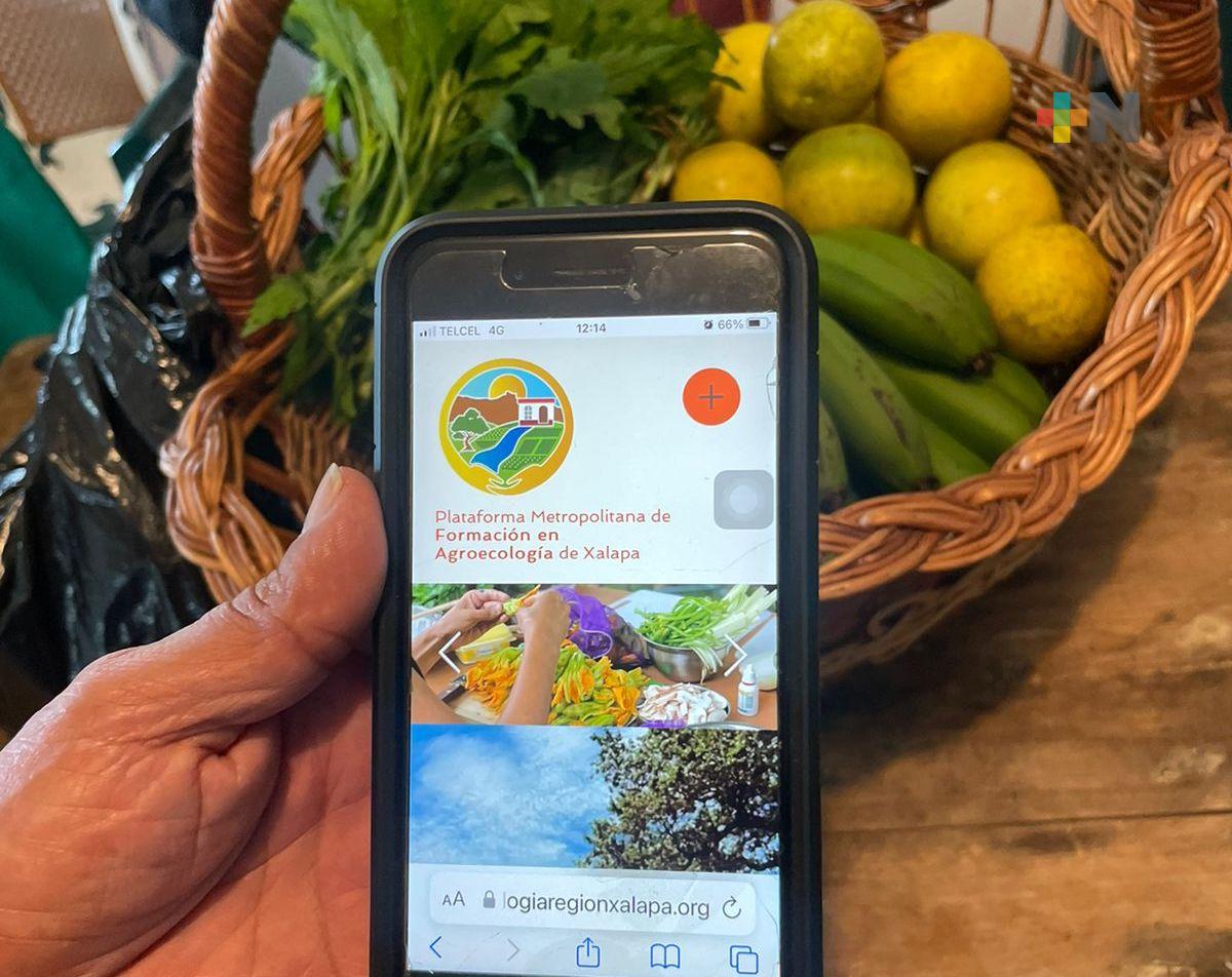 Mapean actividad de huertos en zona metropolitana de Xalapa