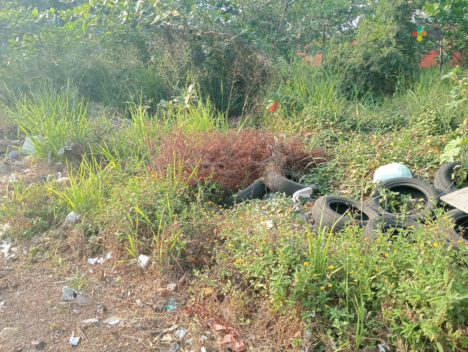 Terreno baldío es usado como basurero y provoca inseguridad