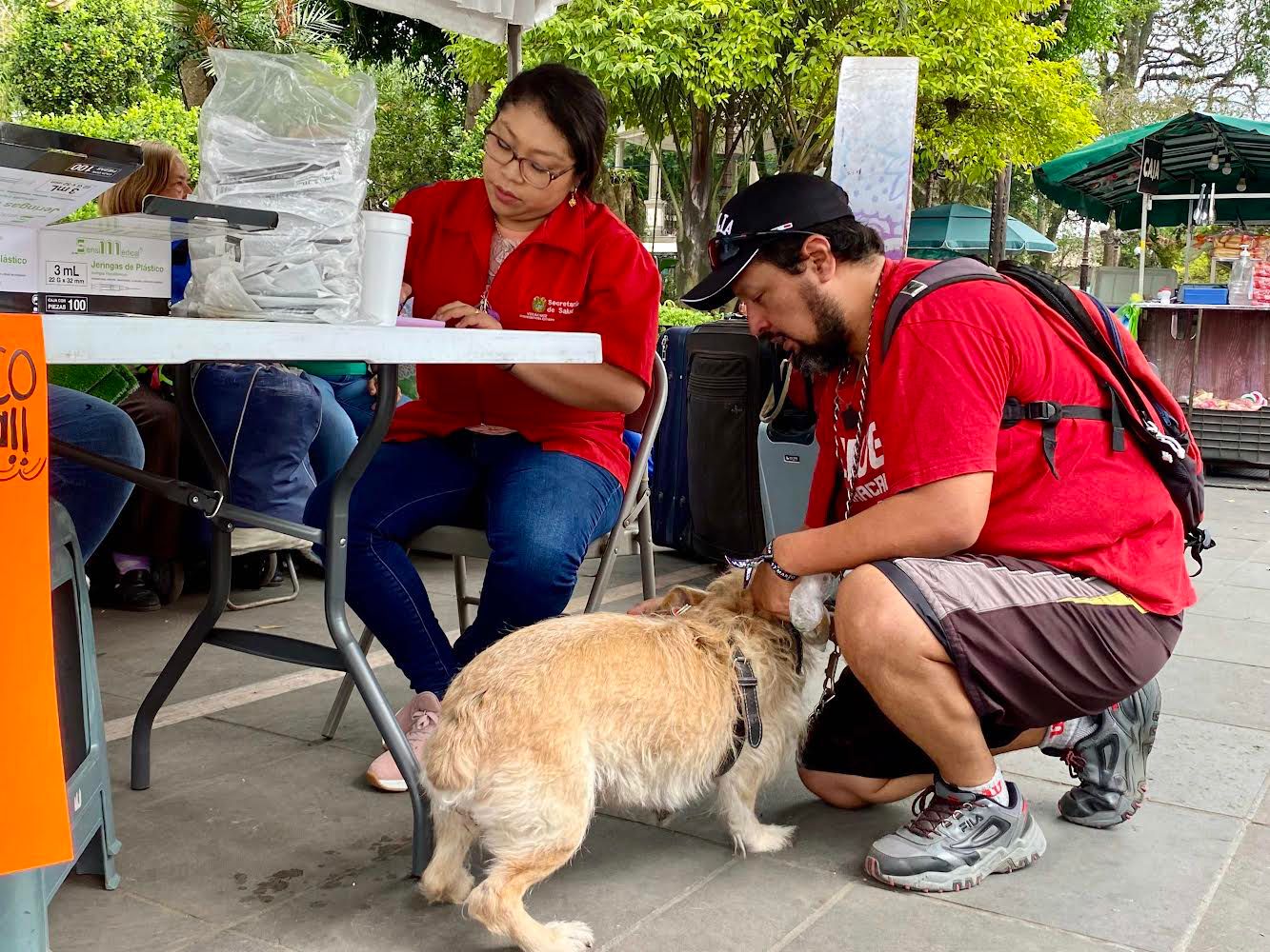 Realizan jornada de vacunación antirrábica en Coatepec
