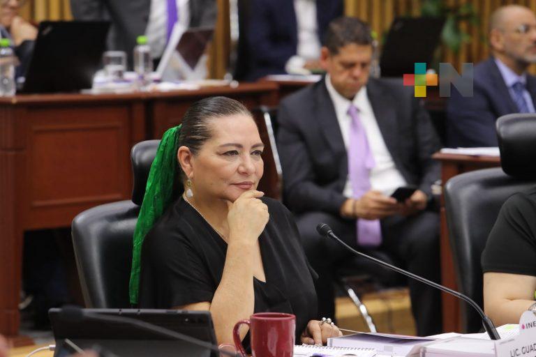 Garantizará INE representación de los partidos políticos en casillas electorales: Taddei Zavala