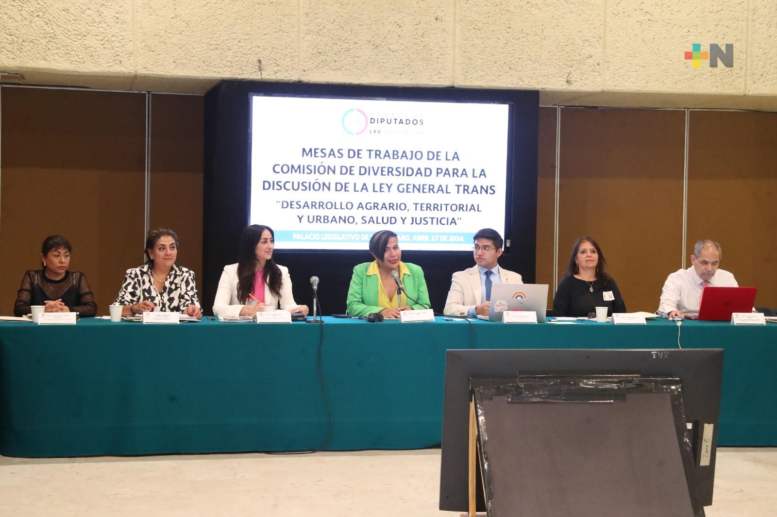 Comisión analiza con expertos la iniciativa para crear la Ley General Trans, en materias de vivienda, salud y justicia