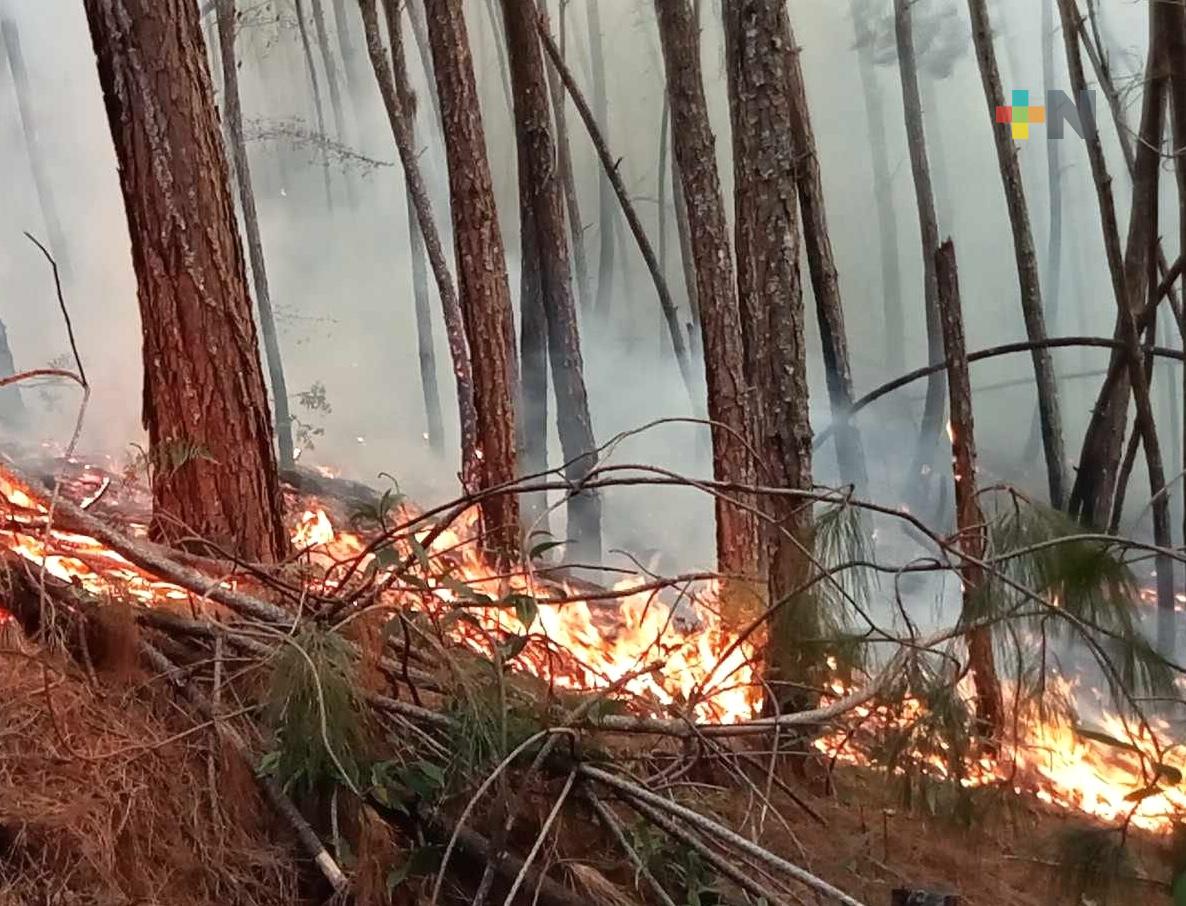 Se registra incendio forestal en el municipio de Atlahuilco