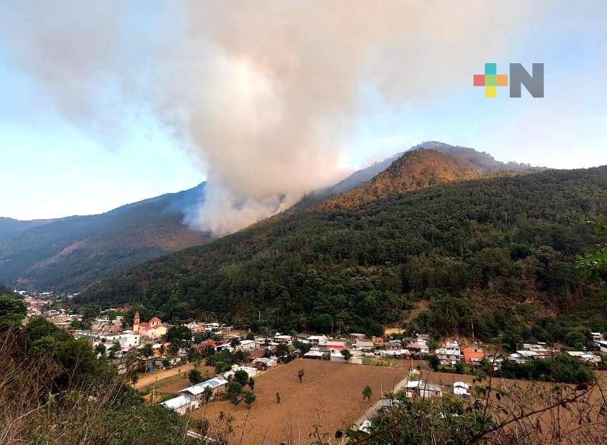Fuerzas de tarea mantienen atención en incendio forestal de Atlahuilco