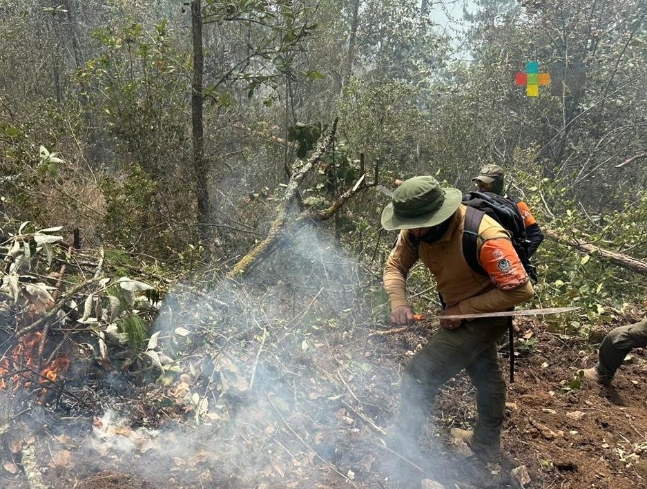 Con Operativo Plan Tajín se controló el incendio forestal de Atlahuilco: SSP