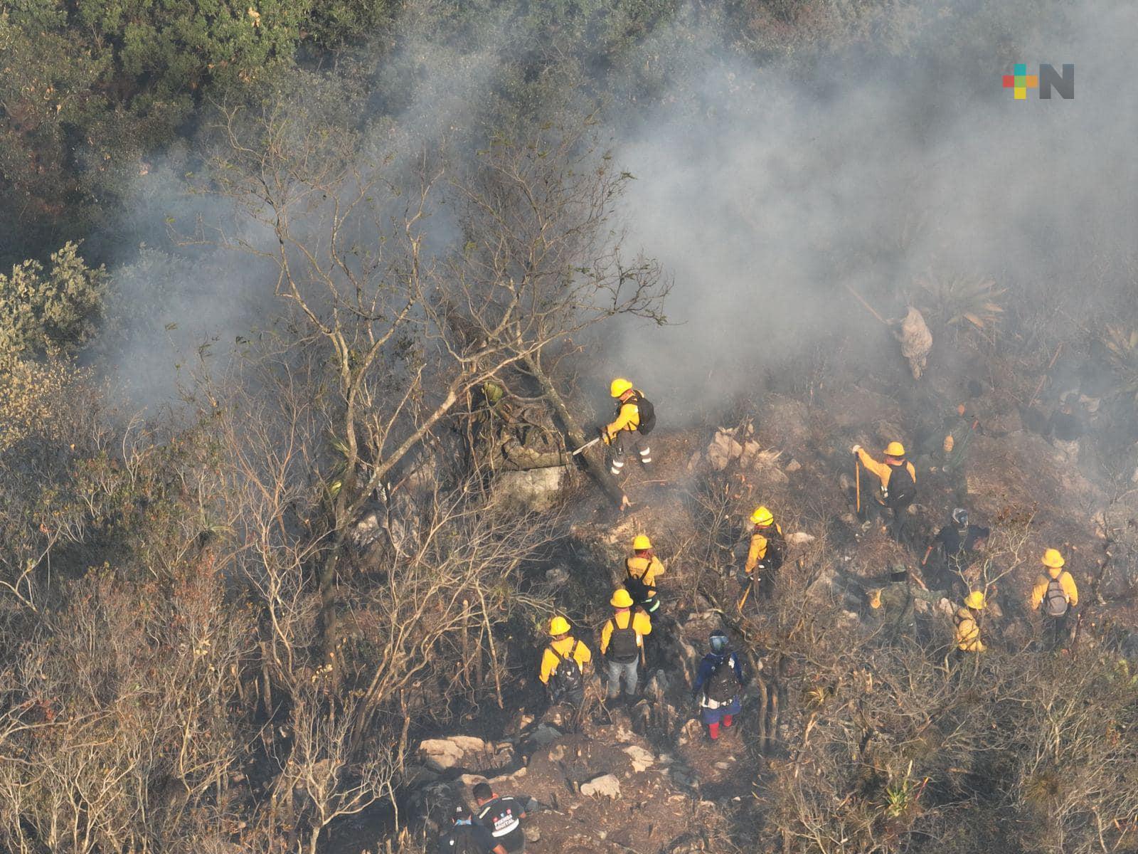 Reportan 100% de control y 95% de liquidación en incendio forestal de Río Blanco