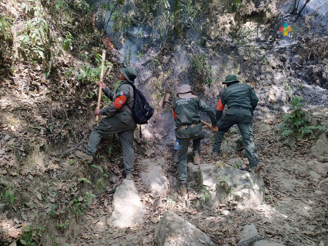 Se mantiene Operativo Plan Tajín en incendio forestal de Río Blanco: SSP