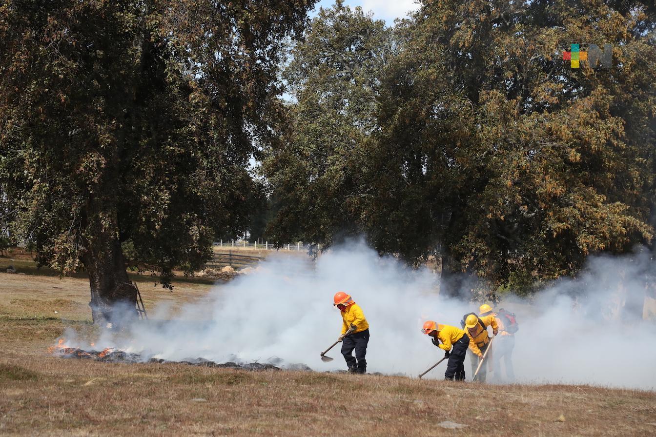 SPC reporta 118 incendios forestales en la presente temporada