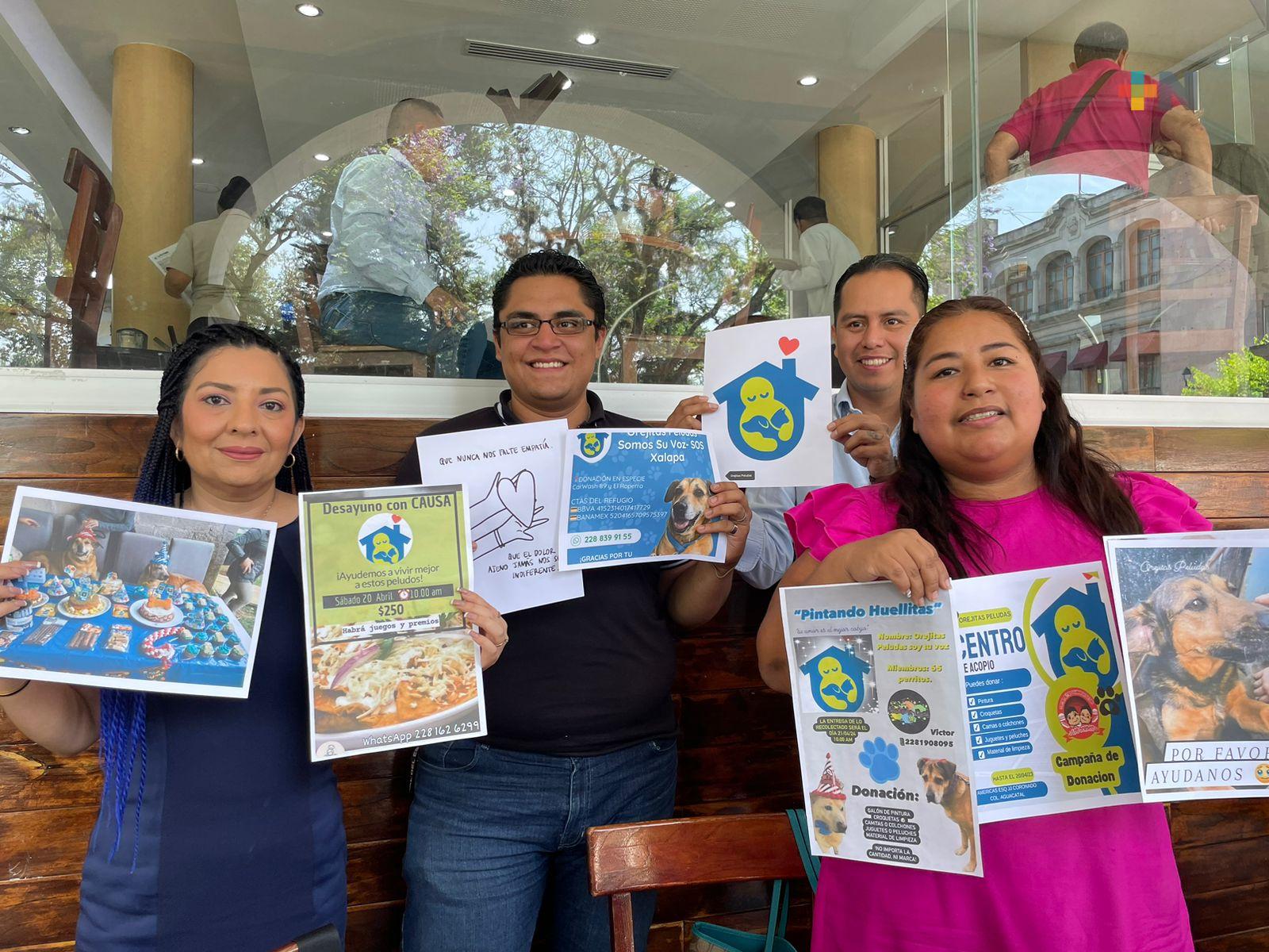 Albergue Orejitas peludas realizará desayuno con causa