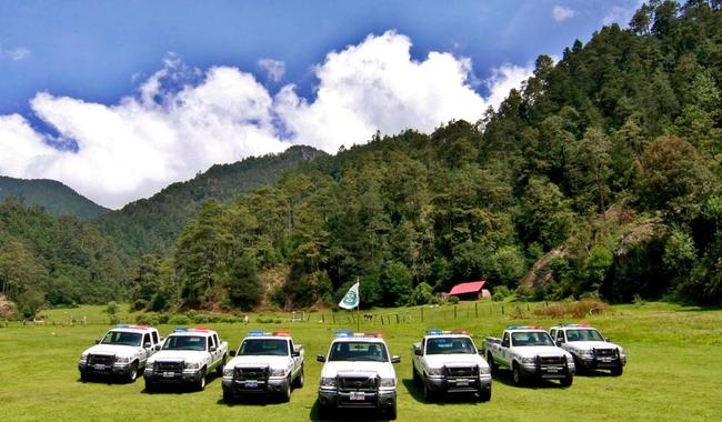 Ángeles Verdes auxilió a más de 12 mil turistas durante la Semana Santa 2024