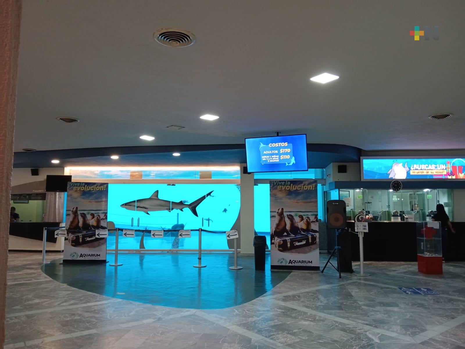 Aquarium de Veracruz, opción para festejar a infantes