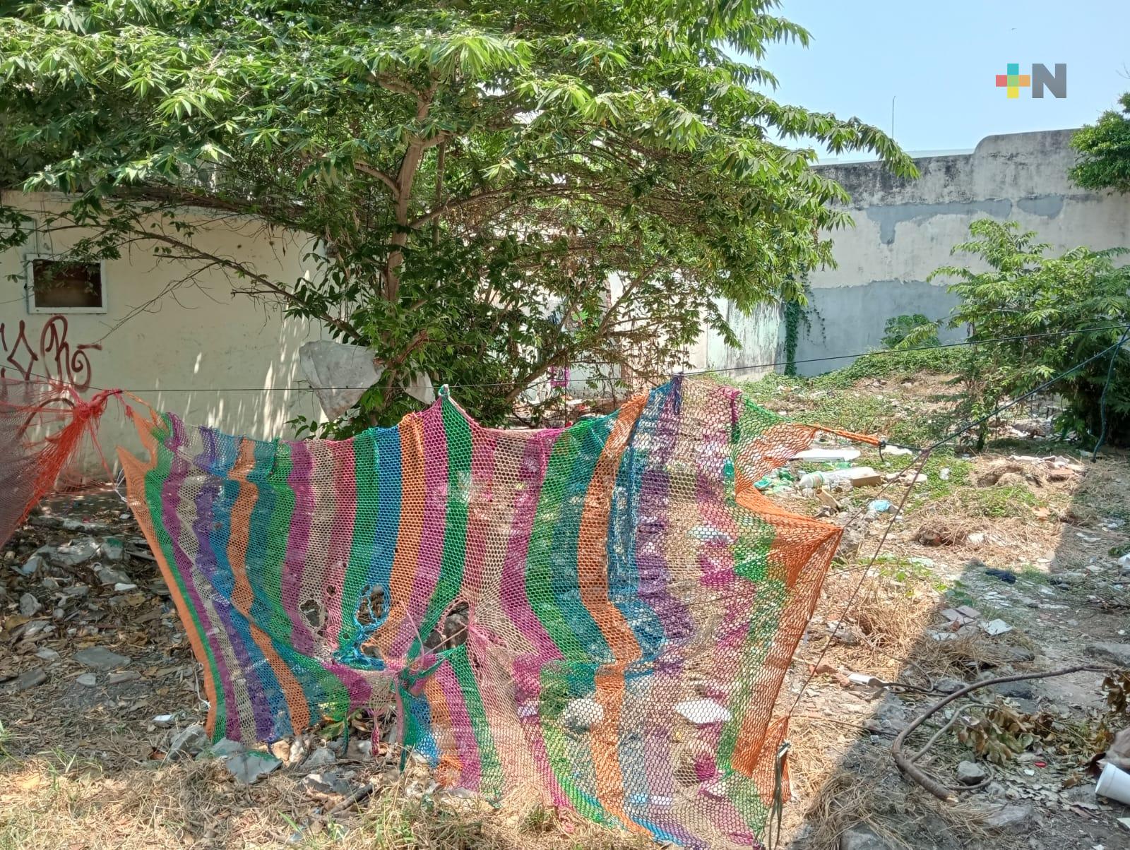 En Veracruz puerto reportan terreno baldío que genera inseguridad