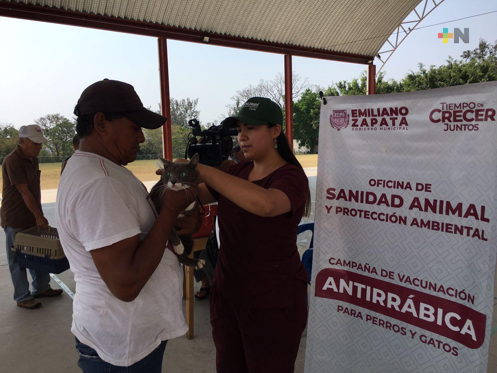 Inician campaña de vacunación antirrábica en municipio de Emiliano Zapata