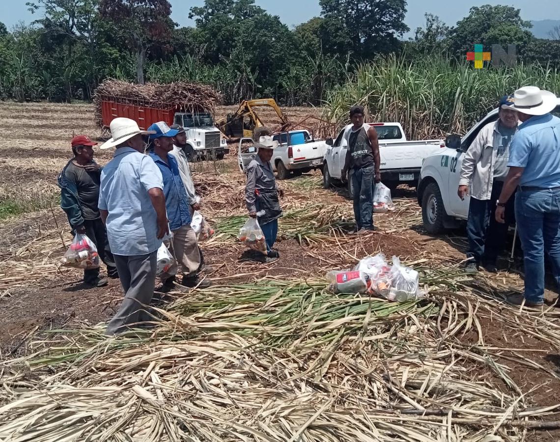 Avanza lento período de molienda por falta de cortadores de caña