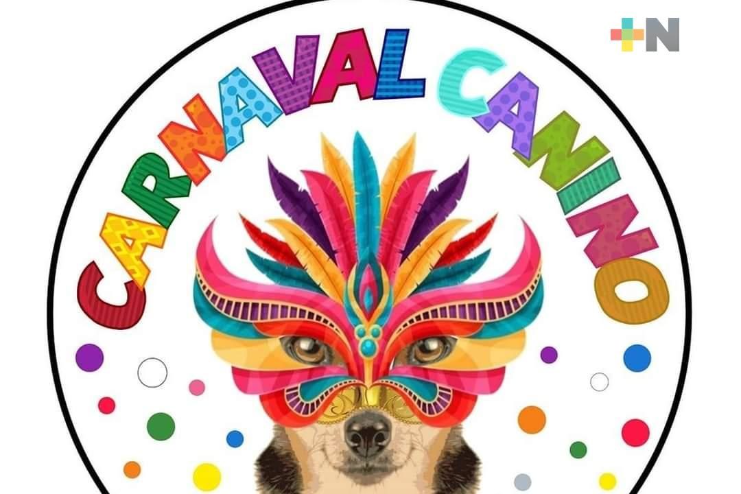 Se realizará Carnaval canino en Veracruz puerto para recaudar alimento de mascotas