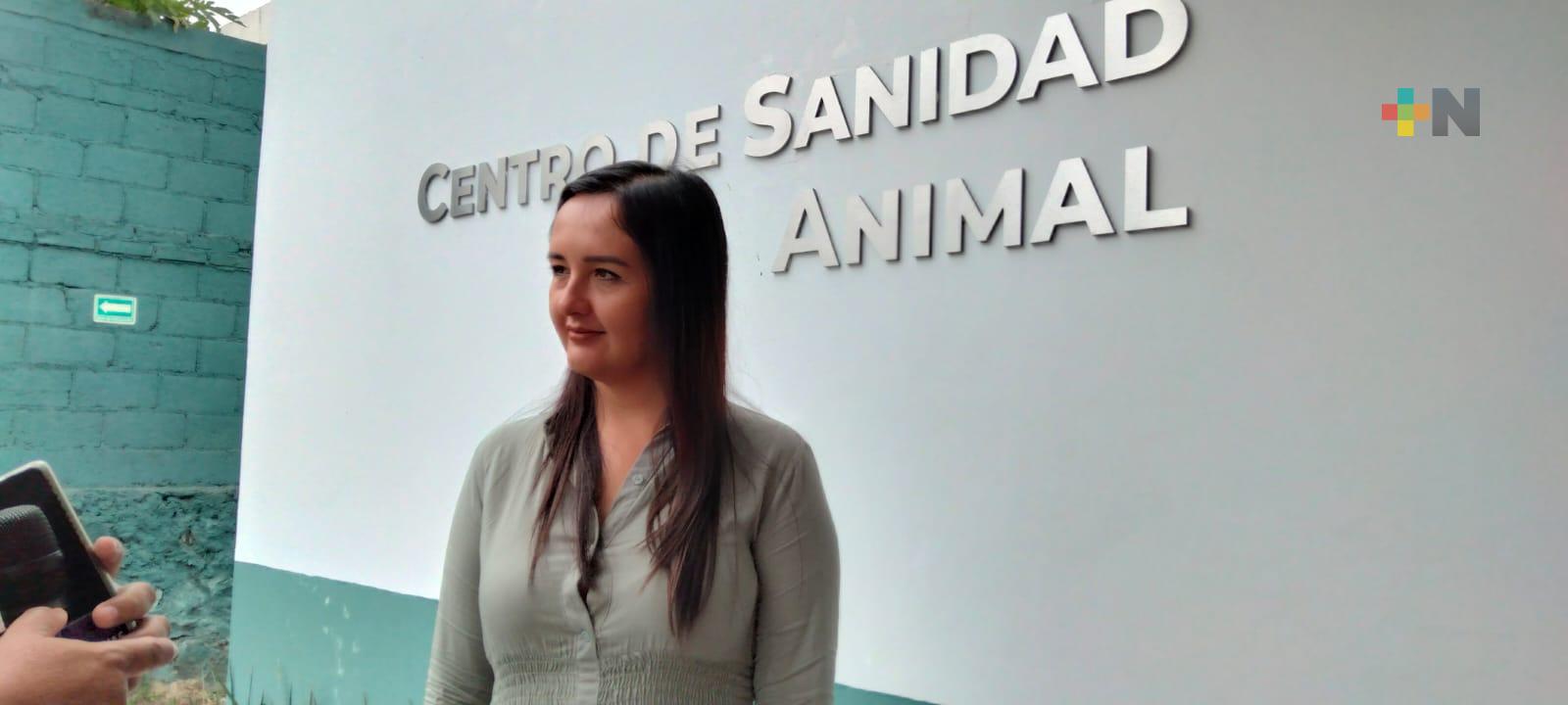 Campaña de vacunación antirrábica para perros y gatos en Emiliano Zapata