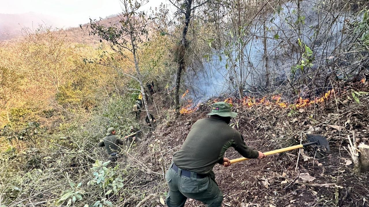 En 80% controlado el incendio en Valle del Uxpanapa: SPC