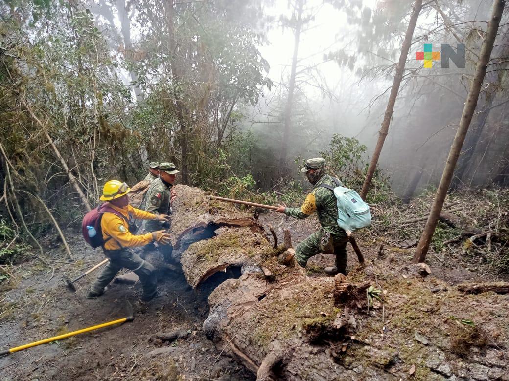 Liquidados incendios de altas montañas y Maltrata; sólo queda uno activo: Conafor