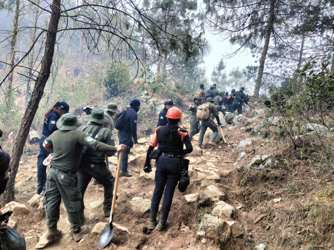 Convoca Conafor al Premio Nacional al Mérito Forestal 2024