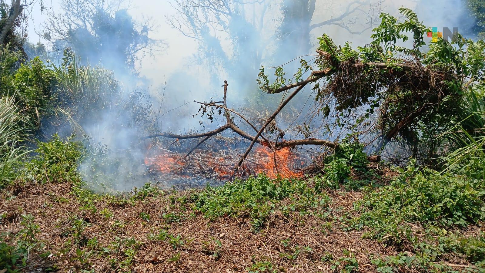 Incrementan incendios de pastizales en Medellín de Bravo