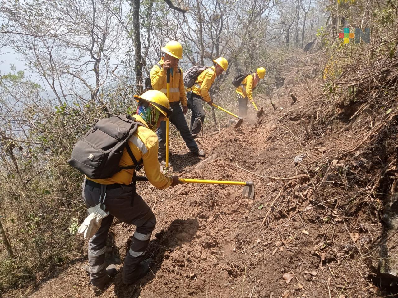 Temporada 2024 de incendios forestales supera en afectaciones a 2023 y 2022: Conafor