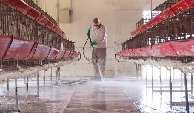 Exhortan a productores avícolas a reforzar las medidas de bioseguridad en sus granjas
