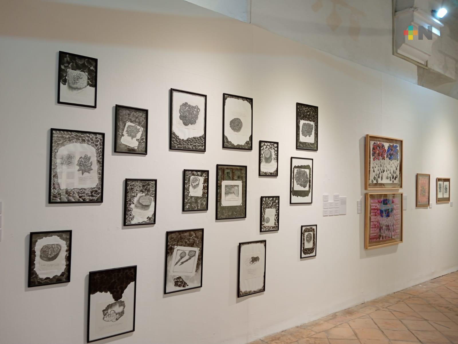 Inauguran exposición fotográfica de Mónica Mayer en Veracruz puerto