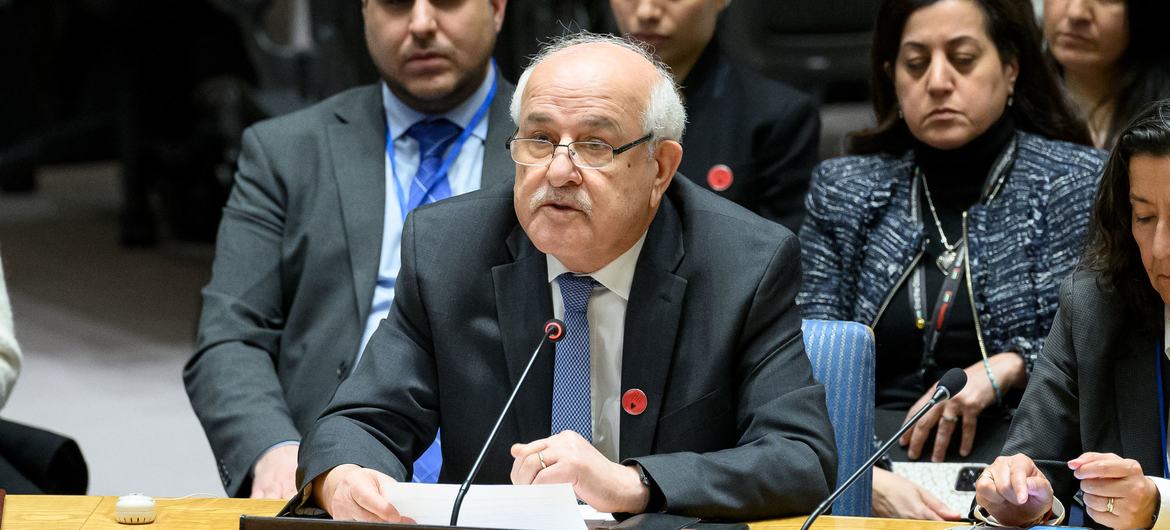 Consejo de Seguridad de la ONU analiza la membresía de Palestina